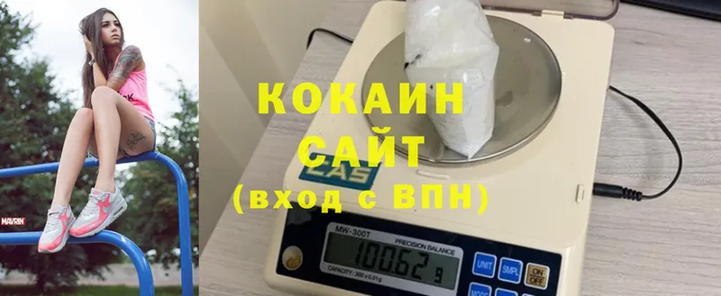 где купить наркоту  Лодейное Поле  Cocaine Fish Scale 